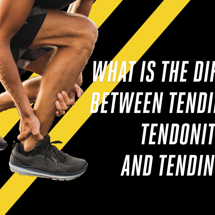 What is the difference between Tendinopathy, Tendonitis and Tendinosis?